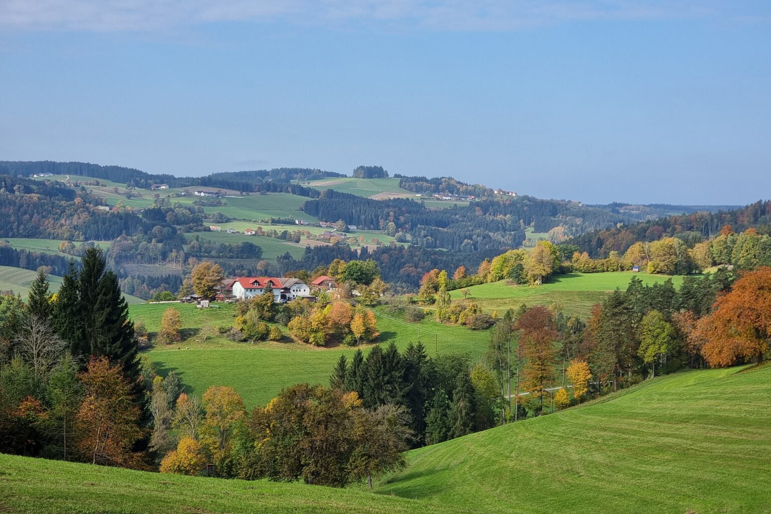 Herbst in Altenberg