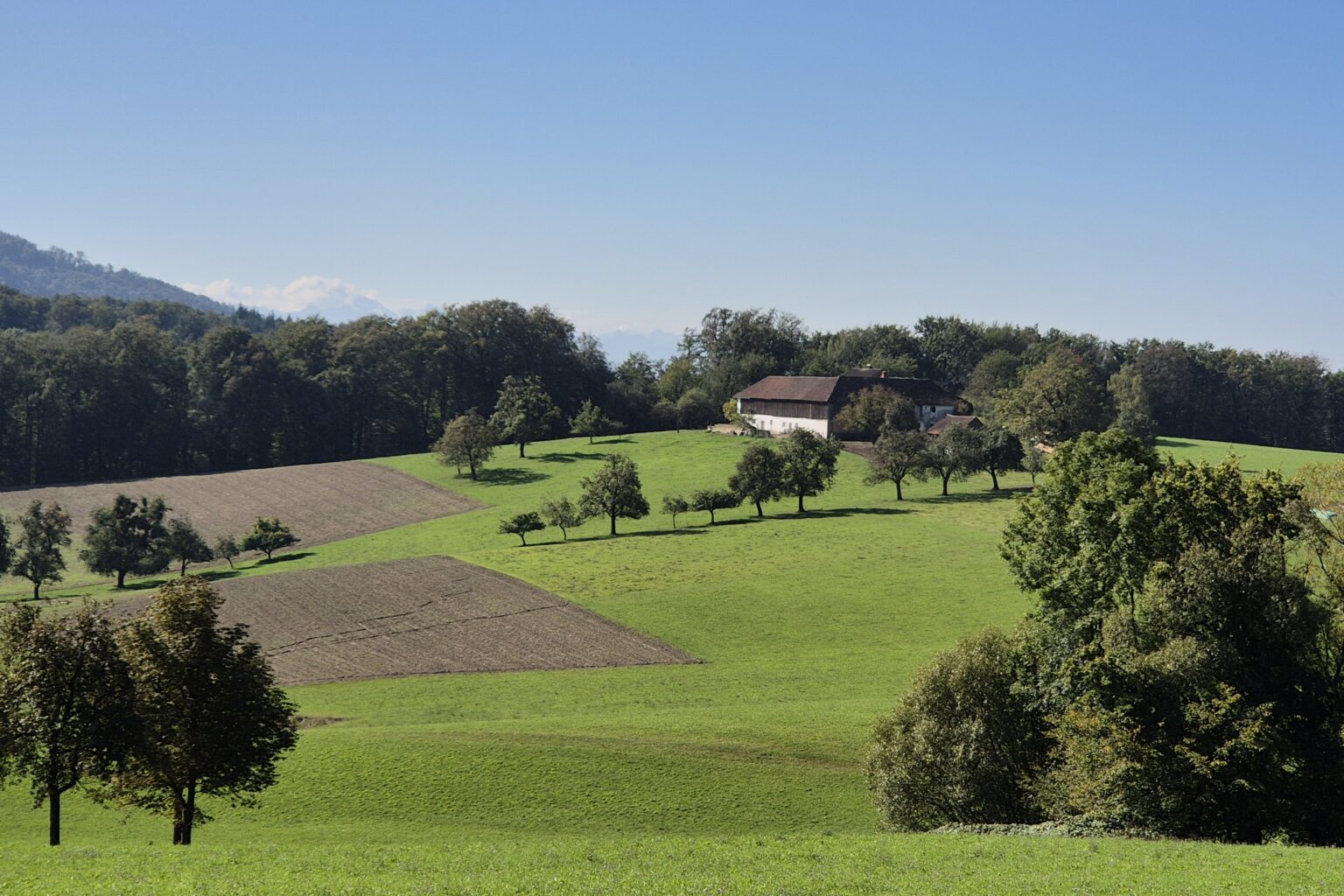 Landschaft Engerwitzdorf