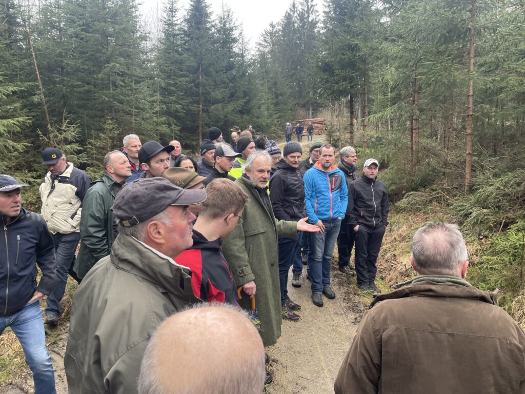 Klimafitte Wälder durch gelenkte Naturverjüngung