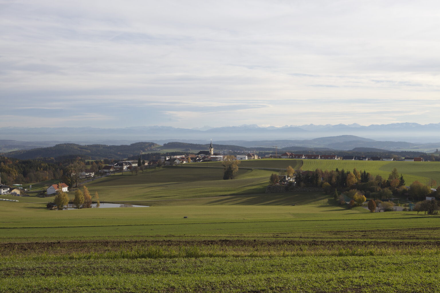 Panorama Alberndorf