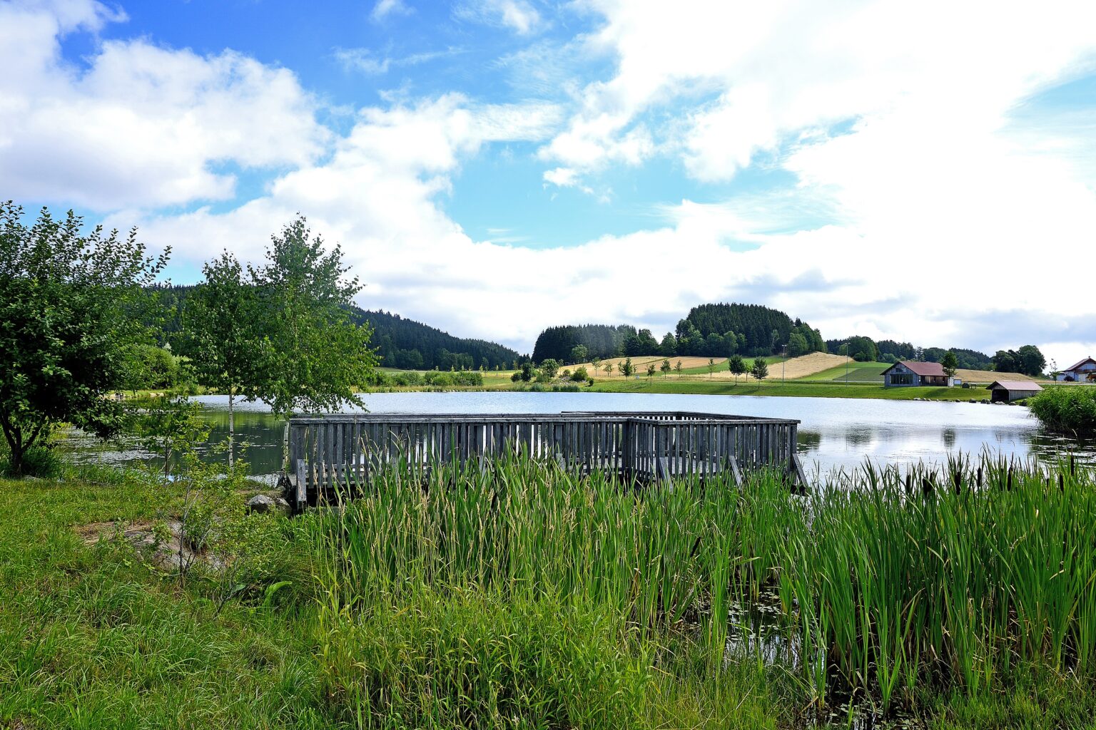 Teich in Ottenschlag