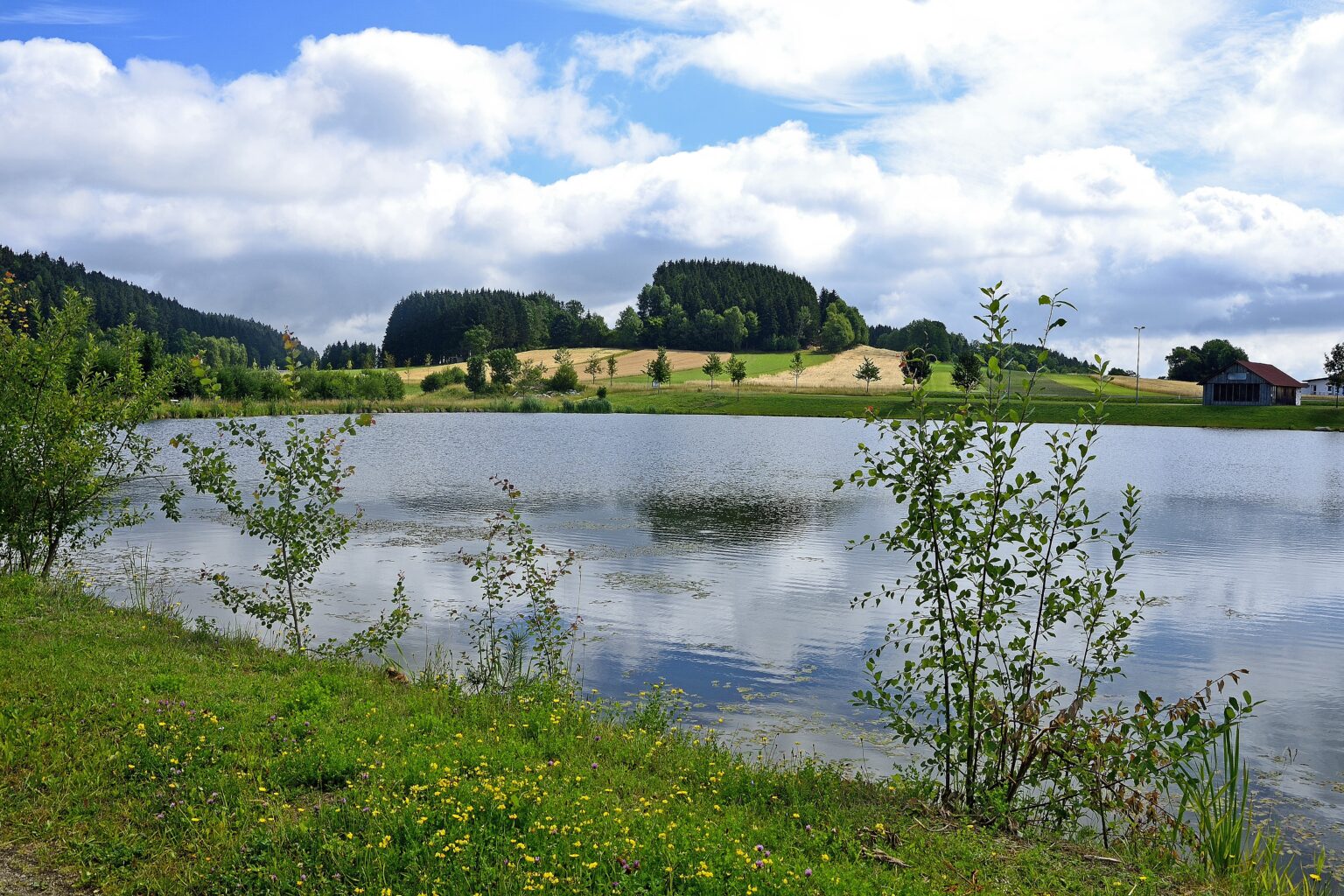 Teich in Ottenschlag