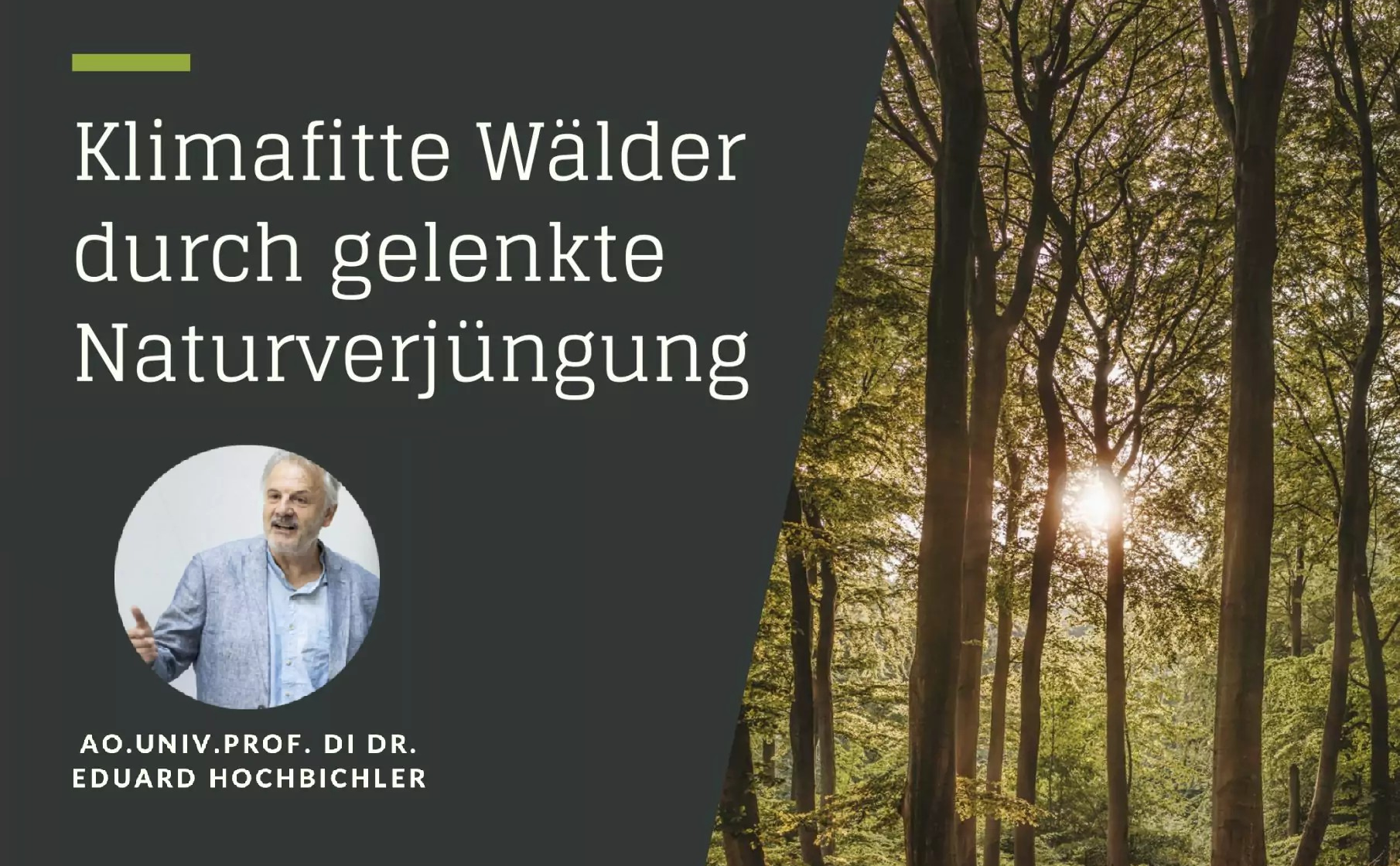 Klimafitte Wälder durch gelenkte Naturverjüngung