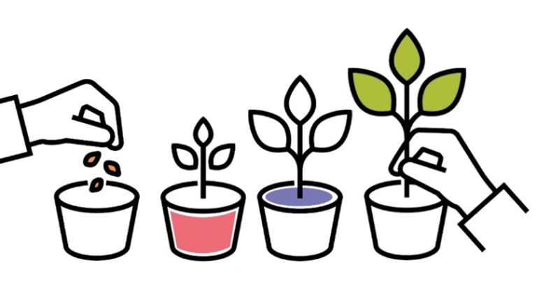 Grafik - Die neue LEADER Arbeitsweise