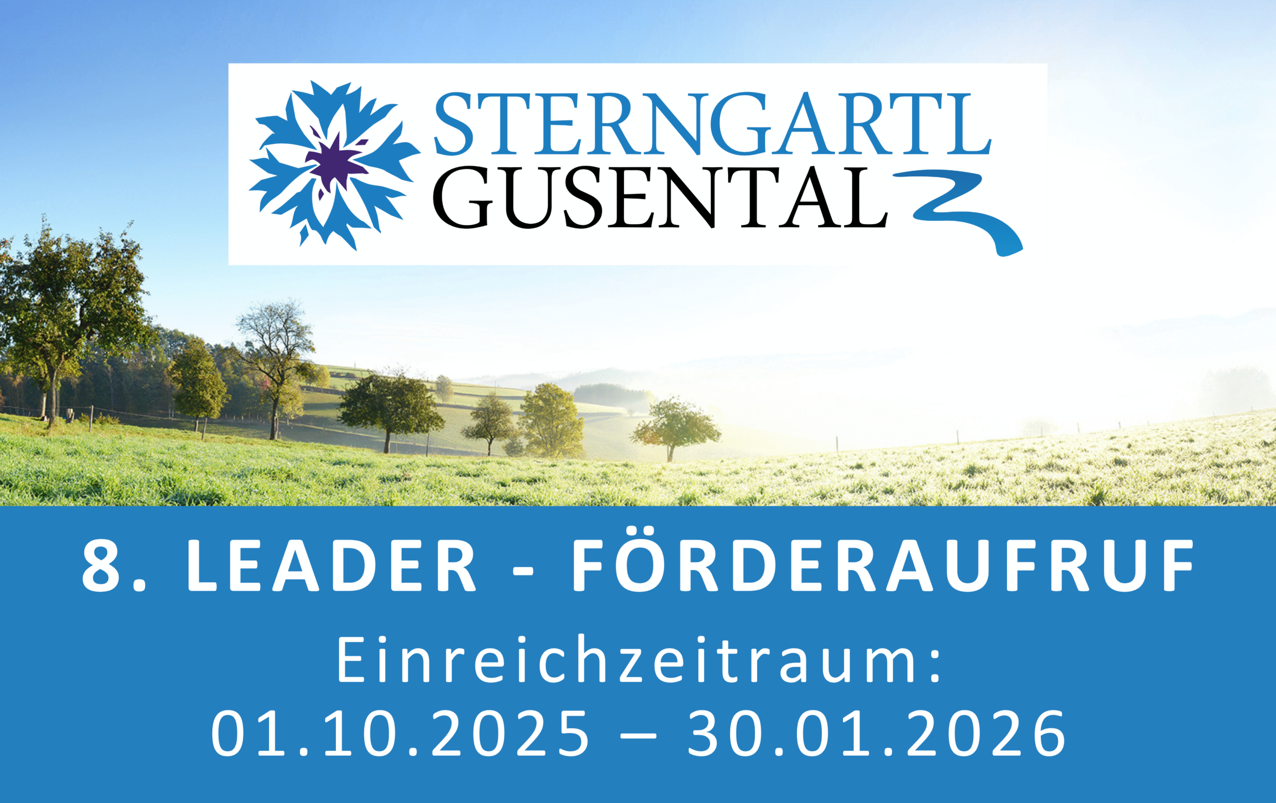 Grafik 8. LEADER-Förderaufruf