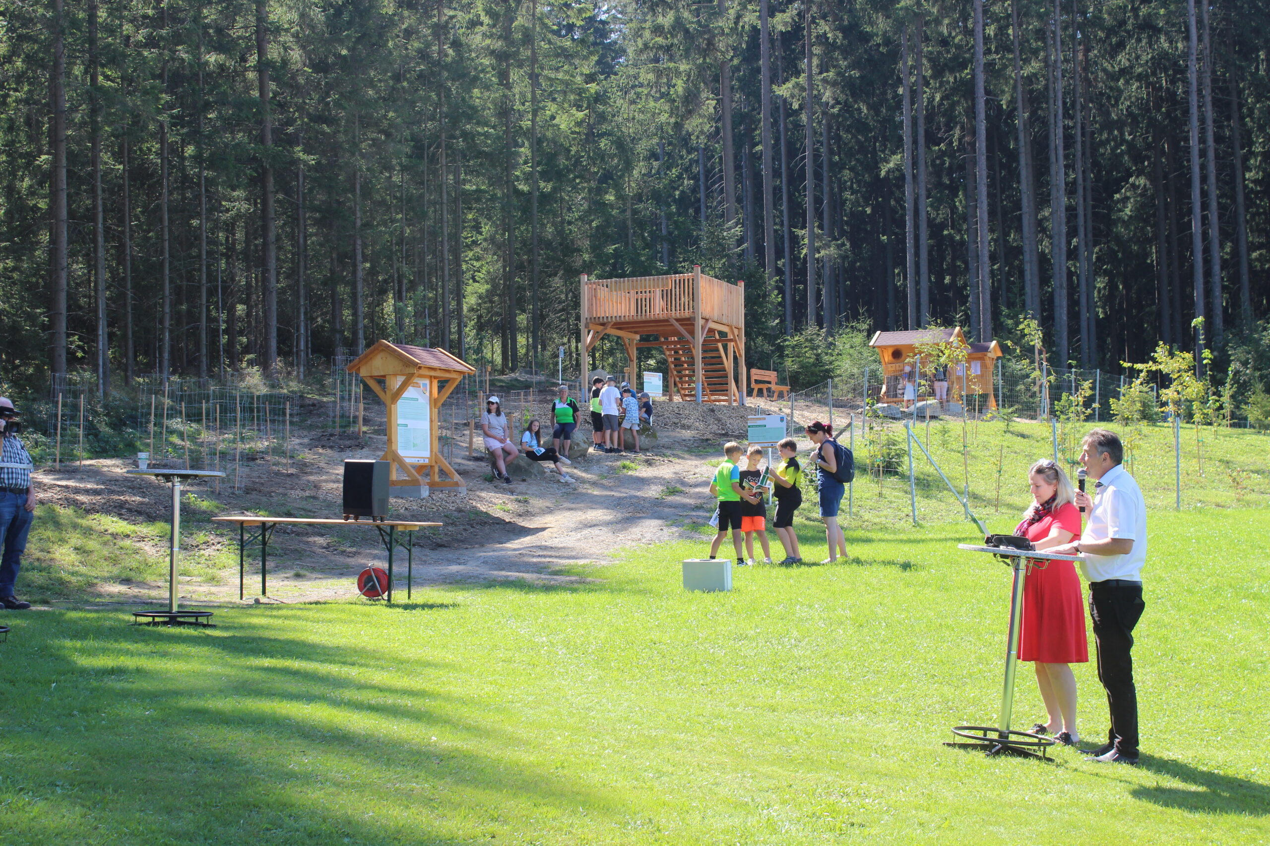 Generationenwald Sonnberg