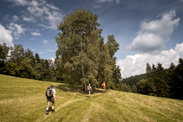 Pilgernde Menschen