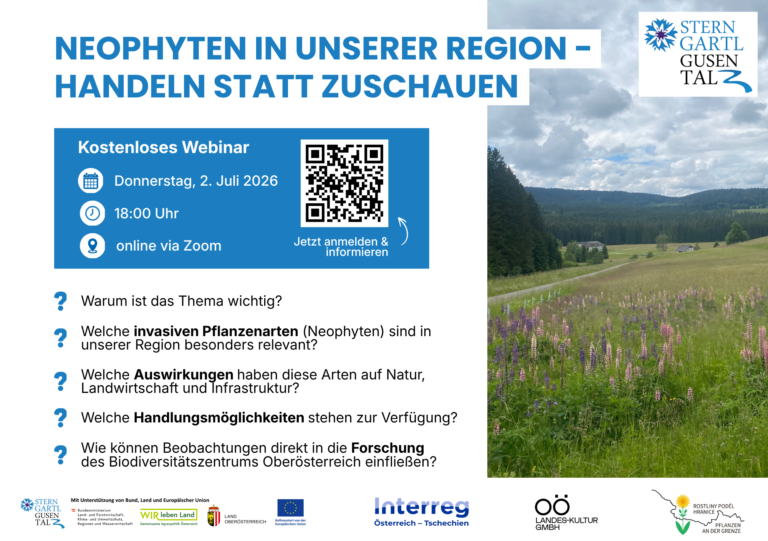 NEOPHYTEN IN UNSERER REGION – HANDELN STATT ZUSCHAUEN