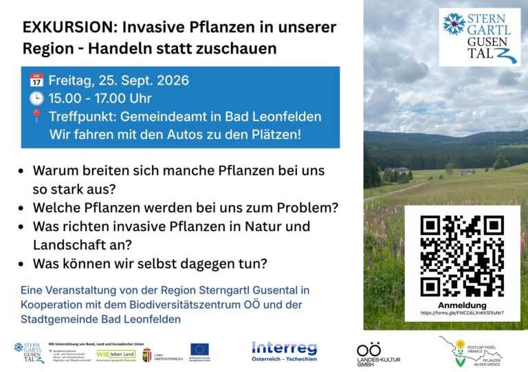 Exkursion Invasive Pflanzen in unserer Region – Handeln statt zuschauen