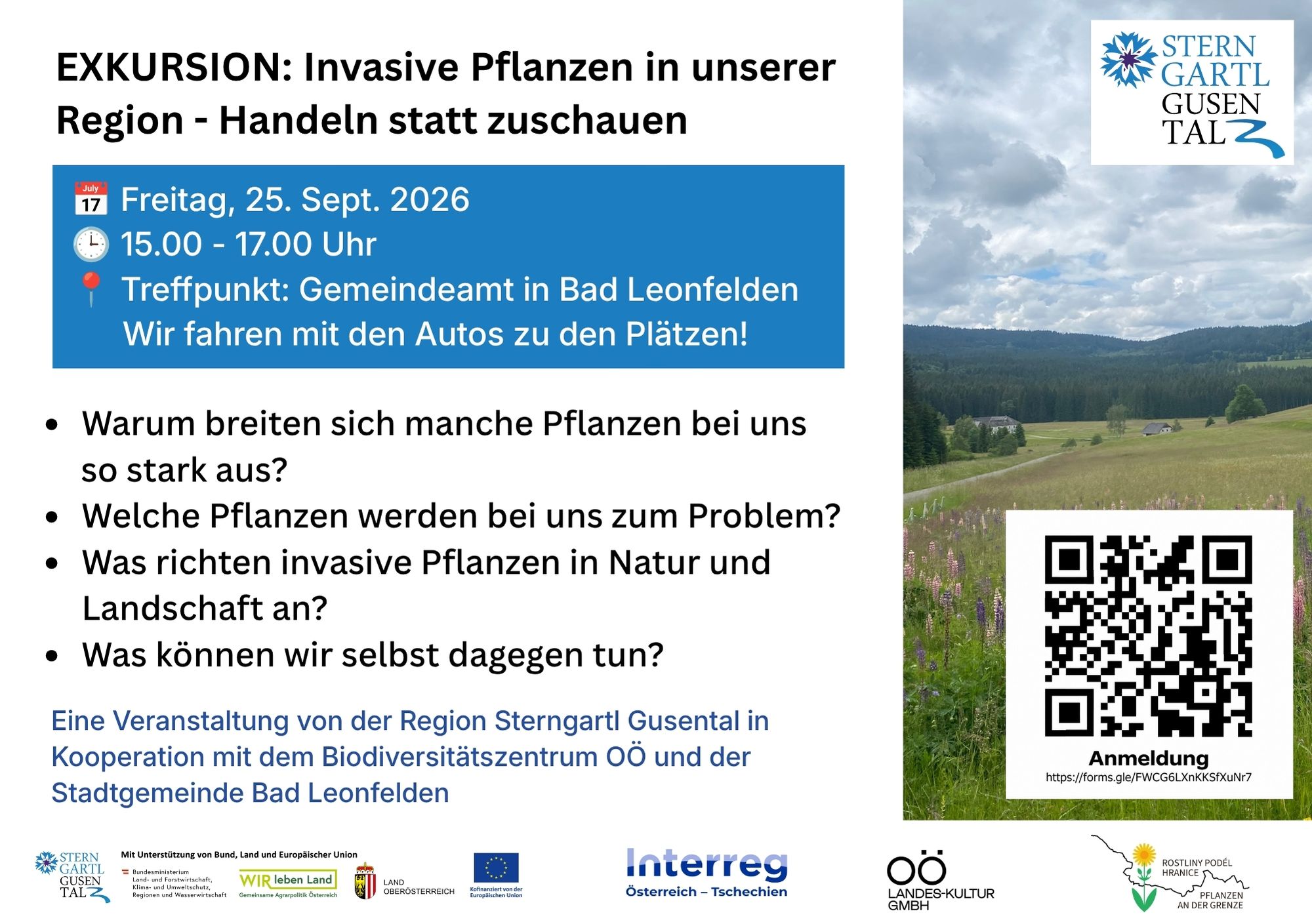 Exkursion Invasive Pflanzen in unserer Region – Handeln statt zuschauen