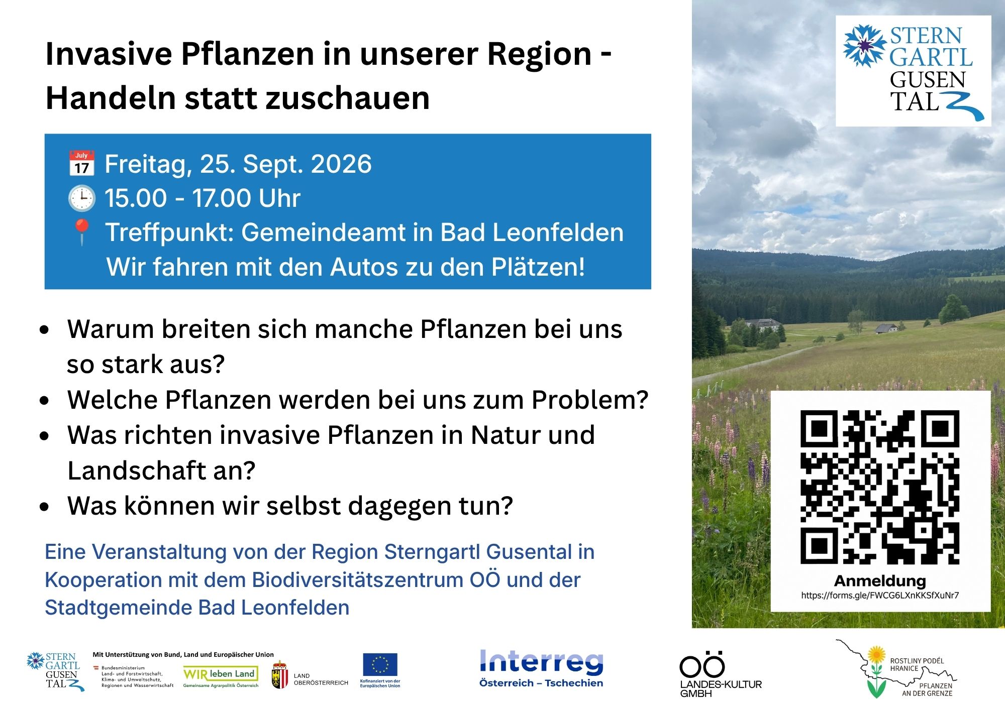 Exkursion Invasive Pflanzen in unserer Region – Handeln statt zuschauen